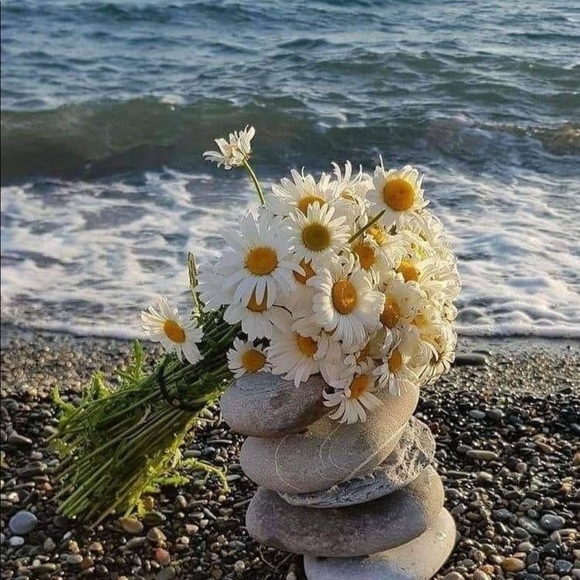 Meet your Posher, Beverly - Picture 1 of 1